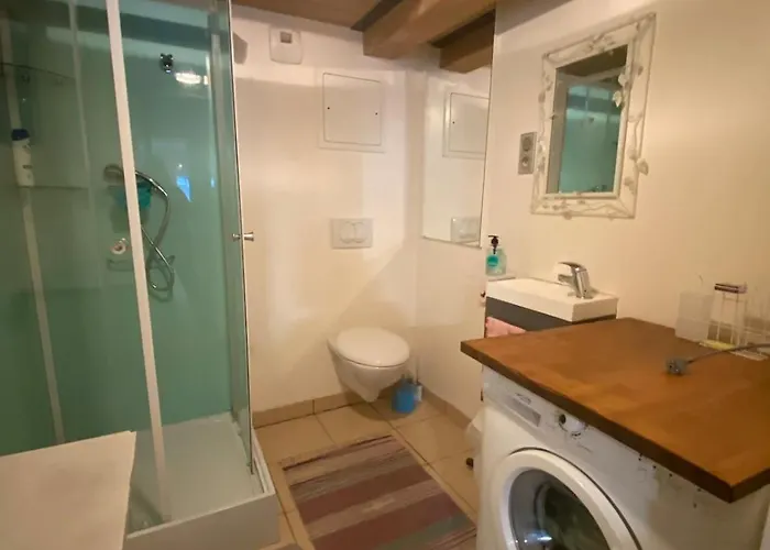 Authentic Canut Duplex 110 M2, Croix Rousse Metro Appartement